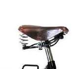 Pashley Princess Sovereign 5 Black